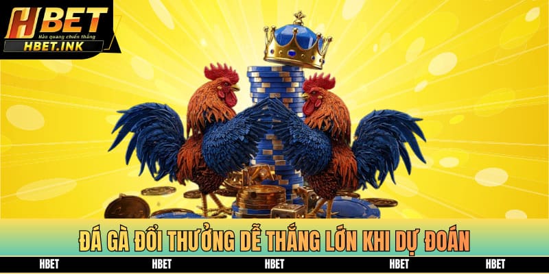 Đá gà đổi thưởng dễ thắng lớn khi dự đoán