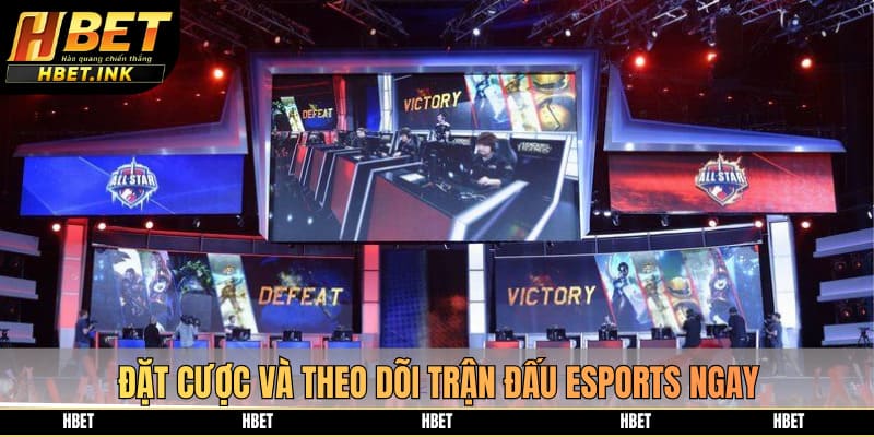 Đặt cược và theo dõi trận đấu Esports ngay