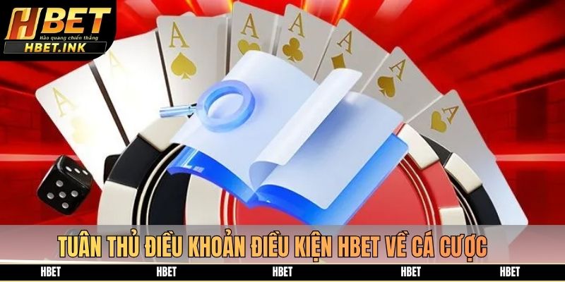 Tuân thủ điều khoản điều kiện HBET về cá cược